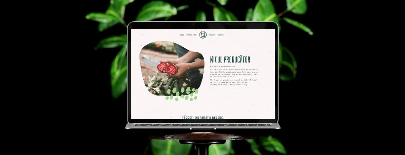 Mockup al site-ului Mic Producător, din portofoliul public
