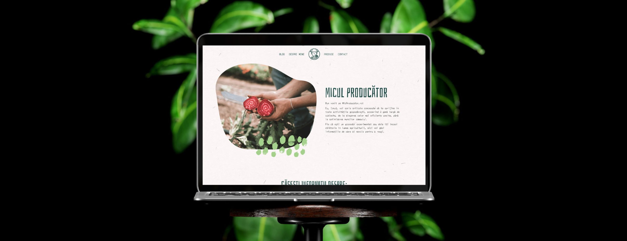 mic-producator